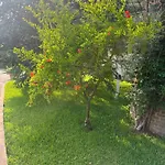 فندق مبيت وإفطار Pacilita 4*