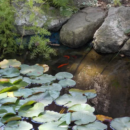 Pacilita Nocleg ze śniadaniem