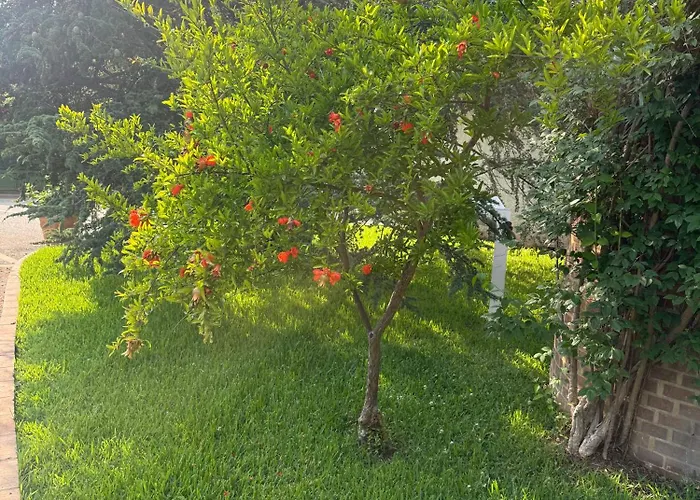 住宿加早餐酒店 Pacilita 4*