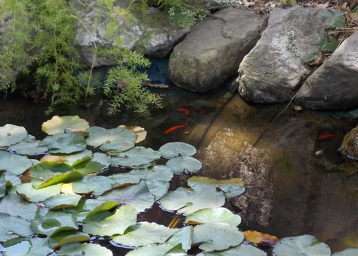 Pacilita Alojamento de Acomodação e Pequeno-almoço