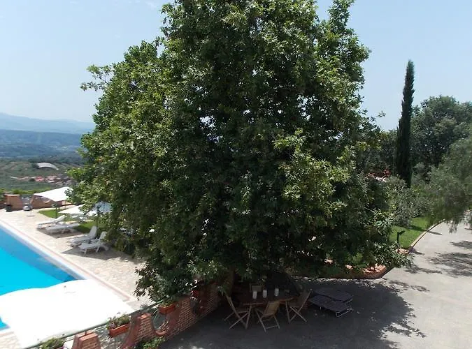 住宿加早餐酒店 Pacilita