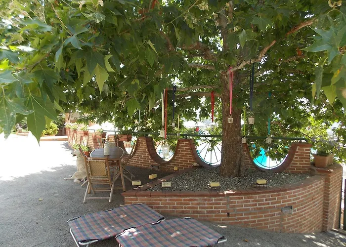 住宿加早餐酒店 Pacilita Pianopoli